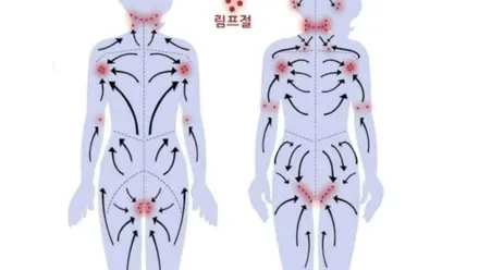 부천시 원미구 중동 목전문care · 아로마 마사지샵